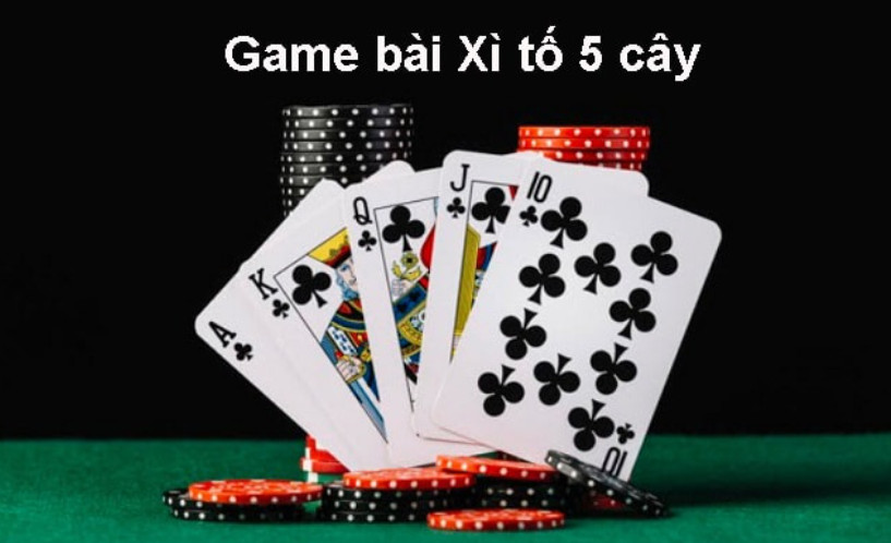 Các thuật ngữ thường gặp trong xì tố 123b